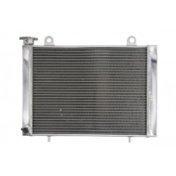 Radiator RAD-225 Polaris Ranger 400/500/700/800/900
