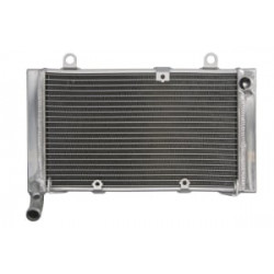 Radiator RAD-654 Honda CBF 1000/1000A (ABS)/1000F 2006-2010 / 1000S 2007-10 Radiator RAD-654 Honda CBF 1000/1000A (ABS)/1000F 2006-2010 / 1000S 2007-10