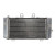Radiator RAD-655 Honda XL 1000 - 2003-06 / 1000V 1999-06 / 1000VA 2004-06 Radiator RAD-655 Honda XL 1000 - 2003-06 / 1000V 1999-06 / 1000VA 2004-06 thumb