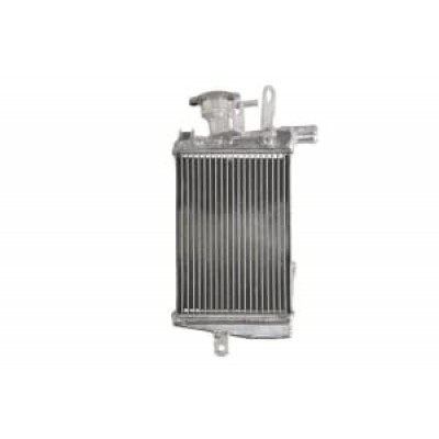 Radiator RAD-643 BMW R 1200