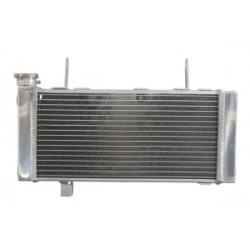 Radiator RAD-658 Suzuki SV 1000 2003-2005 Radiator RAD-658 Suzuki SV 1000 2003-2005