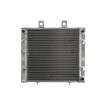 Radiator RAD-222 Polaris Hawkeye / Sportsman thumb