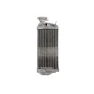 Radiator  RAD-152R Gas Gas EC 125 2007-2012 thumb