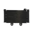 Radiator cu ulei RAD-537 Suzuki GSF 600/650 Radiator cu ulei RAD-537 Suzuki GSF 600/650 thumb
