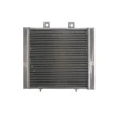 Radiator RAD-223 Polaris Sportsman 400/450/500/570 Radiator RAD-223 Polaris Sportsman 400/450/500/570 thumb