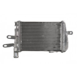 Radiator RAD-642 BMW R 1200 Radiator RAD-642 BMW R 1200