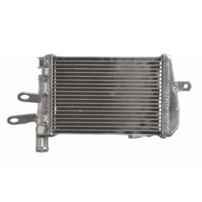 Radiator RAD-642 BMW R 1200