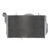 Radiator RAD-528 Honda CBR 1100XX (Blackbird) 1999-2007