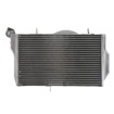 Radiator RAD-528 Honda CBR 1100XX (Blackbird) 1999-2007 Radiator RAD-528 Honda CBR 1100XX (Blackbird) 1999-2007 thumb