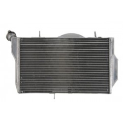 Radiator RAD-528 Honda CBR 1100XX (Blackbird) 1999-2007 Radiator RAD-528 Honda CBR 1100XX (Blackbird) 1999-2007