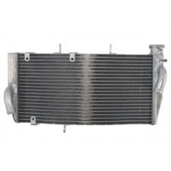 Radiator RAD-522 Honda CBR 954RR (Fireblade) 2002-2003 Radiator RAD-522 Honda CBR 954RR (Fireblade) 2002-2003