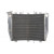 Radiator RAD-622 Kawasaki ZX-10R 1000 (Ninja) 2004-2005 Radiator RAD-622 Kawasaki ZX-10R 1000 (Ninja) 2004-2005 thumb