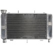 Radiator RAD-561 Yamaha FZ6 600N/600S 04-06 / 600NA (ABS) 05-06 / 600S (Fazer ABS) 2006 thumb