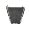 Radiator RAD-523 Honda CBR 1000RR (Fireblade) 2004-2005 Radiator RAD-523 Honda CBR 1000RR (Fireblade) 2004-2005 thumb