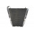 Radiator RAD-523 Honda CBR 1000RR (Fireblade) 2004-2005 thumb