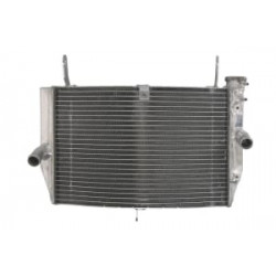 Radiator RAD-637 Suzuki GSX-S 1000/ 1000FA 2016-2018 Radiator RAD-637 Suzuki GSX-S 1000/ 1000FA 2016-2018