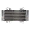 Radiator RAD-667 Kawasaki EX 250R (Ninja) 2009-2013