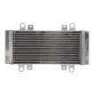 Radiator RAD-667 Kawasaki EX 250R (Ninja) 2009-2013 thumb