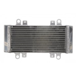 Radiator RAD-667 Kawasaki EX 250R (Ninja) 2009-2013 Radiator RAD-667 Kawasaki EX 250R (Ninja) 2009-2013
