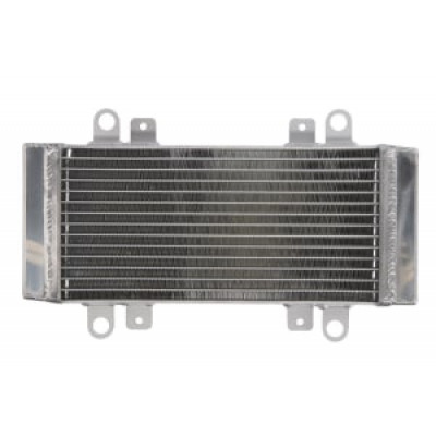 Radiator RAD-667 Kawasaki EX 250R (Ninja) 2009-2013