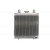 Radiator RAD-211 Polaris Scrambler / Xplorer Radiator RAD-211 Polaris Scrambler / Xplorer thumb