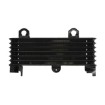 Radiator cu ulei RAD-553 Suzuki DL 1000 (V-Strom) 2002-2006 / TL 1000S 1997-2001 Radiator cu ulei RAD-553 Suzuki DL 1000 (V-Strom) 2002-2006 / TL 1000S 1997-2001 thumb