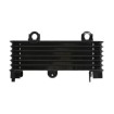 Radiator cu ulei RAD-553 Suzuki DL 1000 (V-Strom) 2002-2006 / TL 1000S 1997-2001 Radiator cu ulei RAD-553 Suzuki DL 1000 (V-Strom) 2002-2006 / TL 1000S 1997-2001 thumb