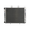 Radiator RAD-221 Polaris Sportsman