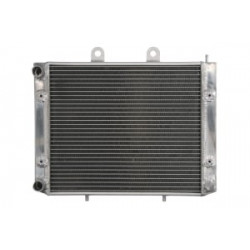 Radiator RAD-221 Polaris Sportsman Radiator RAD-221 Polaris Sportsman