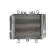 Radiator RAD-575 Kawasaki ER 500 (Twister) 1996-2009 Radiator RAD-575 Kawasaki ER 500 (Twister) 1996-2009 thumb