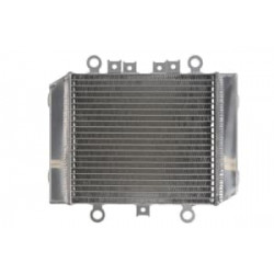 Radiator RAD-575 Kawasaki ER 500 (Twister) 1996-2009 Radiator RAD-575 Kawasaki ER 500 (Twister) 1996-2009