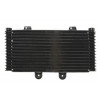 Radiator cu ulei RAD-555 Suzuki GSF 1200/1200S (Bandit) 2001-2006 Radiator cu ulei RAD-555 Suzuki GSF 1200/1200S (Bandit) 2001-2006