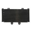 Radiator cu ulei RAD-555 Suzuki GSF 1200/1200S (Bandit) 2001-2006 Radiator cu ulei RAD-555 Suzuki GSF 1200/1200S (Bandit) 2001-2006 thumb