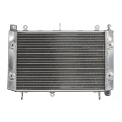 Radiator RAD-663 Yamaha FZS 1000 2001-2005 Radiator RAD-663 Yamaha FZS 1000 2001-2005