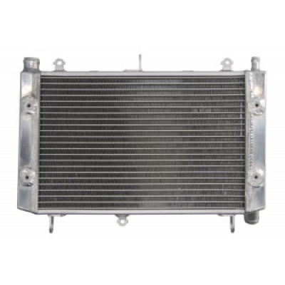 Radiator RAD-663 Yamaha FZS 1000 2001-2005