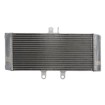 Radiator RAD-626 Suzuki GSF 1250/A/S/SA / GSX 650F/650FA (ABS) thumb