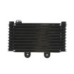 Radiator cu ulei RAD-537 Suzuki GSF 600/650 Radiator cu ulei RAD-537 Suzuki GSF 600/650 thumb