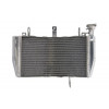 Radiator RAD-606 Ducati Monster 821/ 821 Stripe /821 Dark 2014-2016