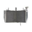 Radiator RAD-606 Ducati Monster 821/ 821 Stripe /821 Dark 2014-2016 thumb