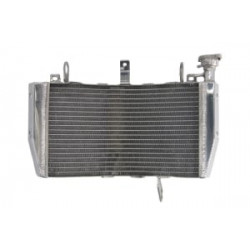 Radiator RAD-606 Ducati Monster 821/ 821 Stripe /821 Dark 2014-2016 Radiator RAD-606 Ducati Monster 821/ 821 Stripe /821 Dark 2014-2016