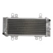 Radiator RAD-668 Kawasaki EX 300 ABS (Ninja) 2013-15 / 300 2013-17 thumb