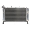 Radiator RAD-560 Yamaha FZ6 600N/600NA/600S /600S2 2007-2009 / 600S Fazer 2007-2008 thumb