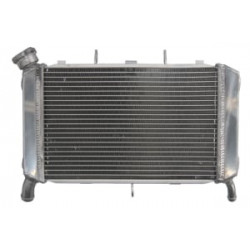 Radiator RAD-560 Yamaha FZ6 600N/600NA/600S /600S2 2007-2009 / 600S Fazer 2007-2008 Radiator RAD-560 Yamaha FZ6 600N/600NA/600S /600S2 2007-2009 / 600S Fazer 2007-2008