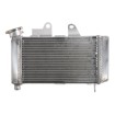 Radiator RAD-646 Honda XL 125V 2001-2006 Radiator RAD-646 Honda XL 125V 2001-2006 thumb