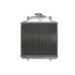 Radiator RAD-208 Polaris Radiator RAD-208 Polaris thumb