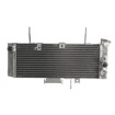 Radiator RAD-541 Suzuki SV 650 2003-2004 Radiator RAD-541 Suzuki SV 650 2003-2004 thumb