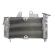 Radiator RAD-646 Honda XL 125V 2001-2006 Radiator RAD-646 Honda XL 125V 2001-2006 thumb
