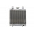 Radiator RAD-211 Polaris Scrambler / Xplorer Radiator RAD-211 Polaris Scrambler / Xplorer thumb