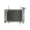 Radiator RAD-645 Honda CBR 125R 2012-2017 Radiator RAD-645 Honda CBR 125R 2012-2017 thumb