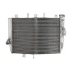 Radiator RAD-588 Kawasaki ZX-10R 1000 (Ninja) 2006-2007 Radiator RAD-588 Kawasaki ZX-10R 1000 (Ninja) 2006-2007 thumb